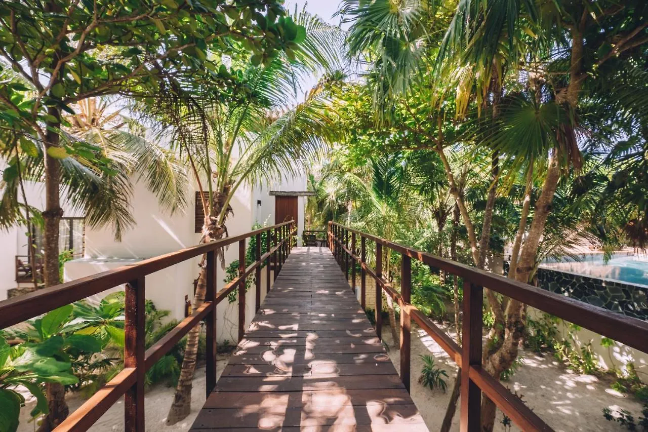 Hotel Chiringuito Tulum