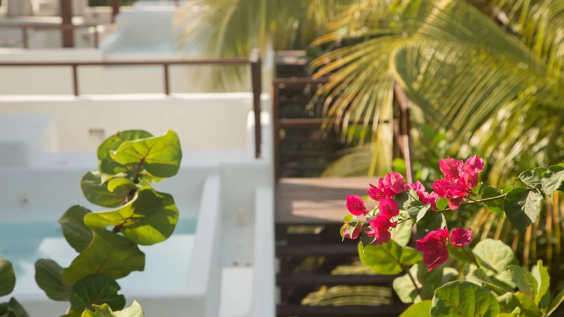 Hotel Chiringuito Tulum